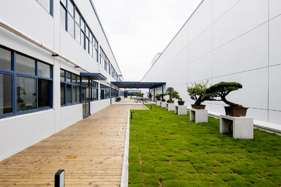 Bonsai in the leisure area + activity equipment